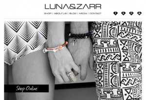 Image from Luna & Zarr Website Development