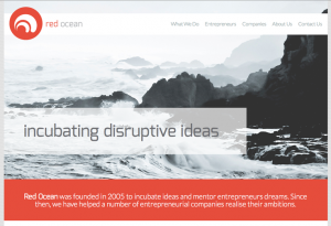 Red Ocean Web Development