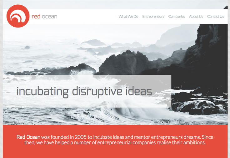 Red Ocean Web Development