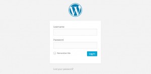 Logging into your WordPress website by Galway Developer